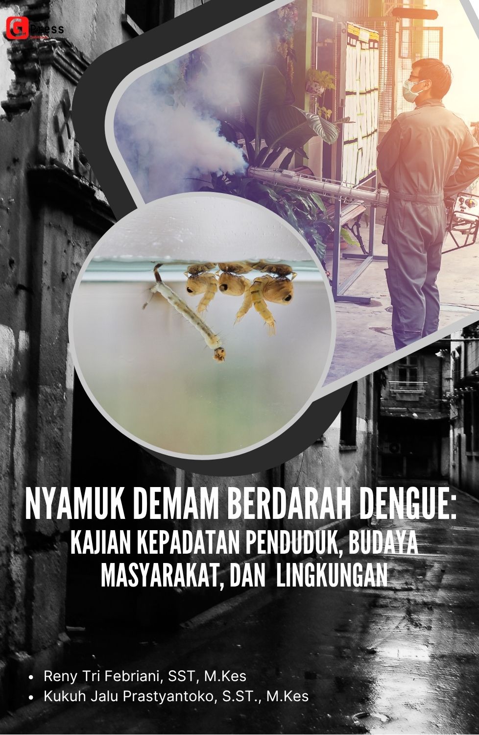 Nyamuk Demam Berdarah Dengue: Kajian Kepadatan Penduduk, Budaya Masyarakat, Dan  Lingkungan